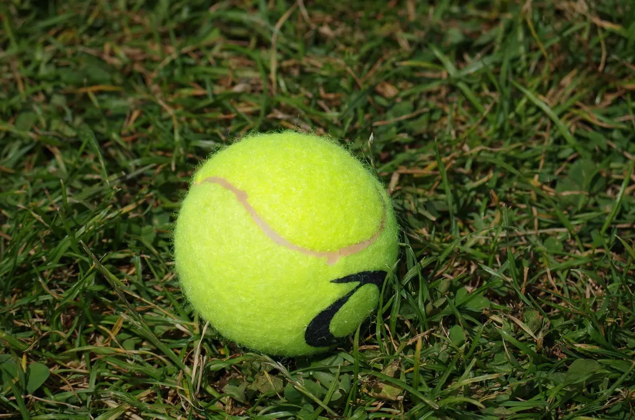 Tennisbold på græs